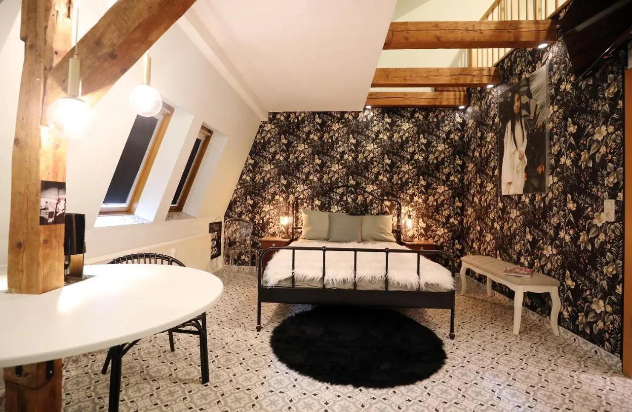 Neu! Dd-Style! Neustadt-Oase Dresden Appartement
